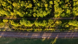 TOP 5 tras kolejowych w Polsce, które zachwycą każde dziecko (i rodzica!) [Materiał promocyjny]