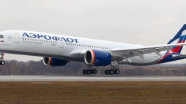 Masowy atak hakerski na Aerofłot. Rosyjskie samoloty uziemione