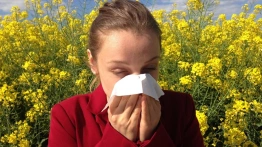 Koniec z dręczącą alergią na futrzaki - naturalne sposoby na uwolnienie się od dolegliwości