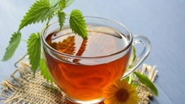 Ks. Kneipp zaleca: Pokrzywa leczy i odmładza