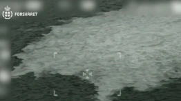 Atak na NS. Włosi przekazali Serhija K. Niemcom