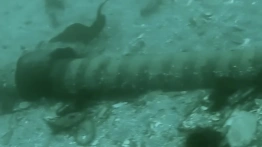 „Połączenie Polska-Szwecja wyłączone”. Doszło do awarii podwodnego kabla