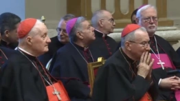 „Stado ped*łów”. Szokujące słowa watykańskiego ceremoniarza. Reaguje Leon XIV