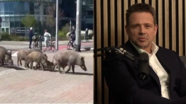 Dawid Wildstein: Kochani celebryci! Śpieszę Wam donieść o koszmarze…