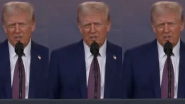 Z. Szczęsny: Wziąć Grenlandię, a „kwiczące cioty” z Europy pozostawić samym sobie