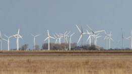 Estonia też nie chce farm wiatrowych - brak wsparcia państwa i zagrożenie dla bezpieczeństwa