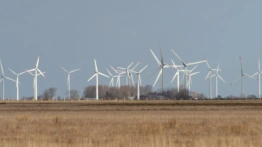 Estońscy wojskowi: Farmy wiatrowe ograniczają zdolności obronne NATO