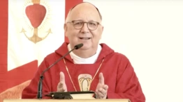 Bp Eleganti: Pisałem Leonowi XIV o problemie homoseksualizmu wśród duchowieństwa