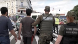 Alarmująca ilość Kolumbijczyków w Polsce