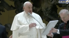 Papież Franciszek apeluje o obronę wolności słowa