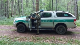 Funkcjonariusze mają dość wpuszczania migrantów z Niemiec. Media: Bunt w Straży Granicznej