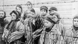 Niebywały skandal! Niemiecki rząd pisze o ofiarach Auschwitz i… pomija Polaków