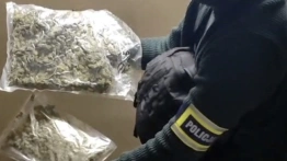 Posiadali 14 kg marihuany. Areszt dla obywatela Omanu i Polki