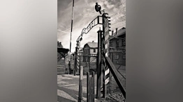 Presja ma sens! Niemcy zdejmują skandaliczną aukcję