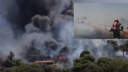 Dramat w Grecji: Pożary niszczą kraj, ewakuowani turyści i tysiące mieszkańców [Wideo]