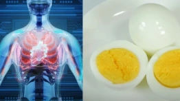 Dlaczego warto jeść jajka? Oto powody [Wideo]