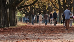 Jak zadbać o zdrowie jesienią: 7 kluczowych kroków