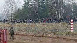RPO oskarża polską Straż Graniczną ws. nielegalnych migrantów i donosi do Strasburga