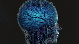 Jelita, bakterie, kondycja mózgu i inteligencja - jak to się łączy?