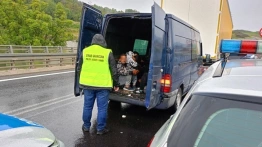 Przemytnicy i nielegalni migrancji wpadli podczas kolizji