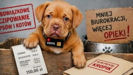 KROPiK „ma tylko dać posady dla swoich”?