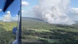 Groźny pożar lasów na Mazowszu. Do akcji ruszył policyjny Black Hawk