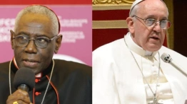 Zaniepokojeni kardynałowie chcą wyjaśnień od Franciszka w kwestiach wiary i moralności