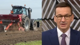Muller: Rząd rozszerzy pomoc rolnikom wz. z wojną na Ukrainie