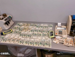 Wyłudzenia VAT: Rozbito grupę przestępczą – 20 osób w rękach policji