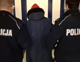 Siniaki na twarzy półtorarocznego dziecka. Matka i konkubent w rękach policji