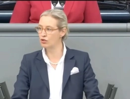 Sondaż: AfD wygrywa w Niemczech. Fatalny wynik CDU/CSU