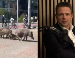 Dawid Wildstein: Kochani celebryci! Śpieszę Wam donieść o koszmarze…