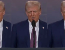 Z. Szczęsny: Wziąć Grenlandię, a „kwiczące cioty” z Europy pozostawić samym sobie