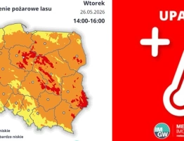 Uderzenie gorąca nad Polską. IMGW ostrzega: nawet 30 stopni, możliwe pożary lasów