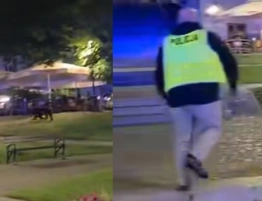 Groźny drapieżnik na ulicach Przemyśla. Mieszkańcy w szoku [Wideo]