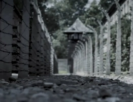 Absolutny skandal!!! Auschwitz bez tablic upamiętniających pomordowanych Polaków