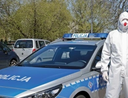 Makabryczne znalezisko na Podkarpaciu. Martwe płody w ogrodzie lekarki