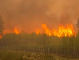 Trwa dramatyczna walka z pożarem pod Biłgorajem [Wideo]