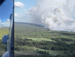 Groźny pożar lasów na Mazowszu. Do akcji ruszył policyjny Black Hawk