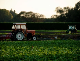 Kuźmiuk: Minister z PSL-u wprowadza „rzeź” małych gospodarstw rolnych