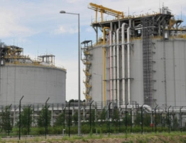 Niemiecka prasa: Bierzmy przykład z Polski...