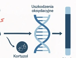 Stres dociera aż do DNA. Jak emocje przyspieszają starzenie komórek i co możemy z tym zrobić