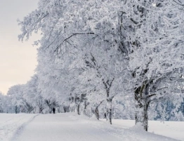 Śnieżyce ustępują, ale szykują się mroźne noce