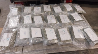 Szmuglowali dziesiątki kilogramów narkotyków. Grozi im do 20 lat odsiadki