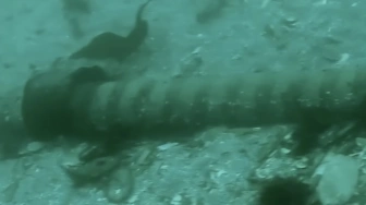 „Połączenie Polska-Szwecja wyłączone”. Doszło do awarii podwodnego kabla