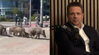 Dawid Wildstein: Kochani celebryci! Śpieszę Wam donieść o koszmarze…