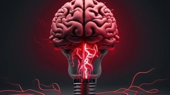 Neurony zamiast krzemu – czy to może zmienić przyszłość sztucznej inteligencji?