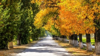 Wraca złota polska jesień: nawet 23°C i... huraganowy wiatr
