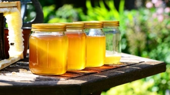 Rynek miodu pod napięciem. Import rośnie, krajowi producenci tracą