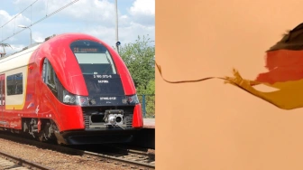 Polacy przejmują niemiecką firmę. Prasa: wiatr się odwrócił
